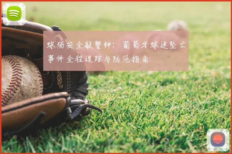 球场安全敲警钟:葡萄牙球迷坠亡事件全程追踪与防范指南
