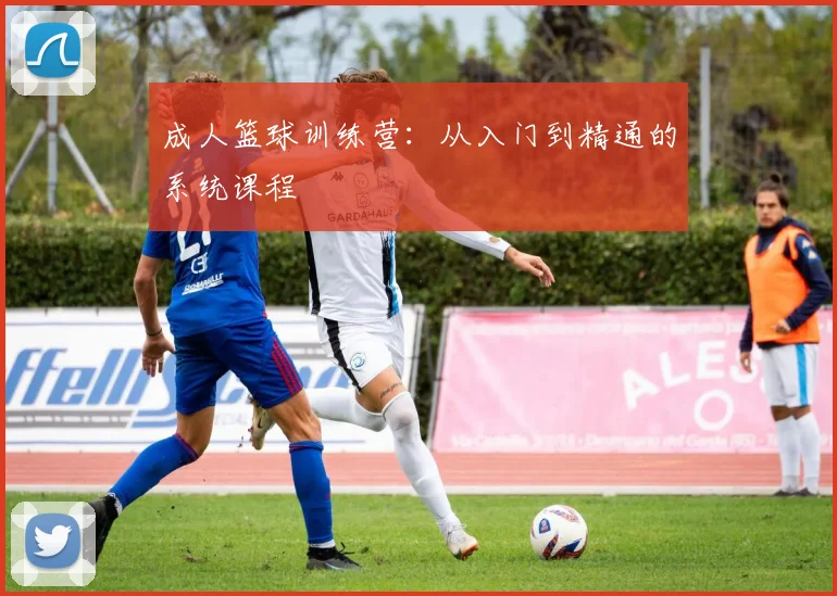 成人篮球训练营：从入门到精通的系统课程